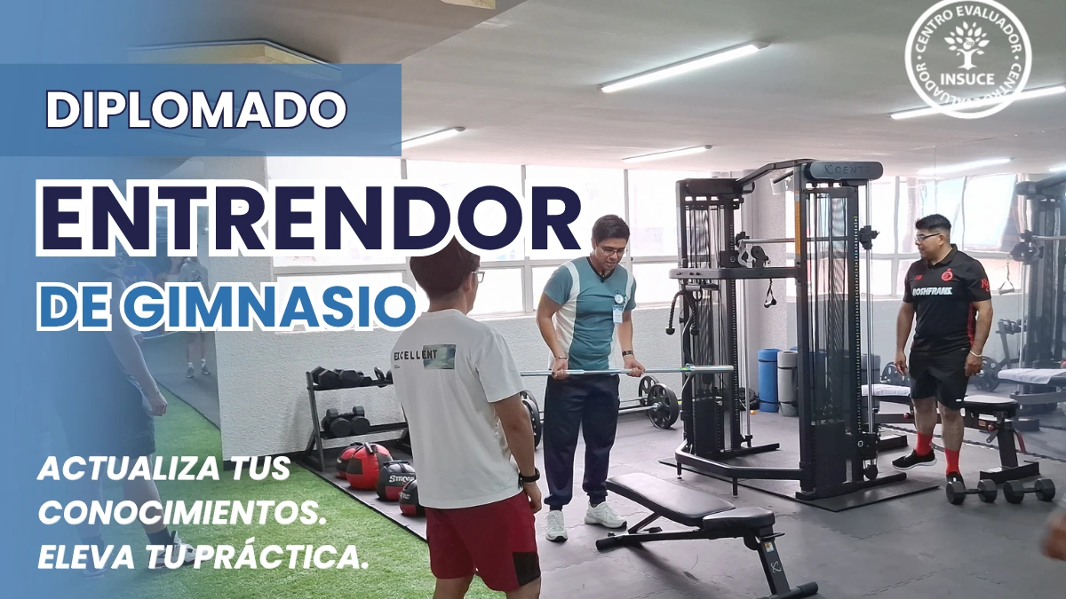Diplomado en Entrenador de Gimnasio